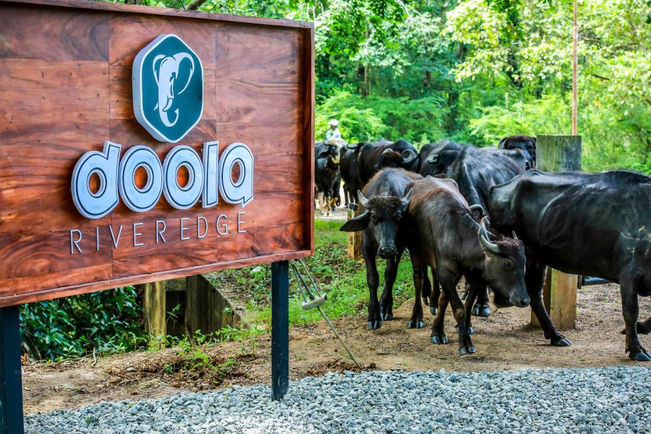 Doola River Edge Udawalawe Exterior photo